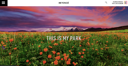 why wordpress beyonce
